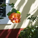 Quinta Hortensias 팜스테이 아르코데상조르주