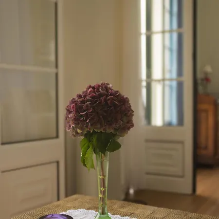 Quinta Hortensias Arco de São Jorge