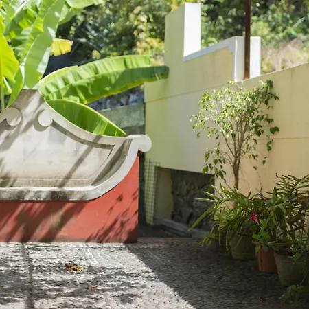 Farma Quinta Hortensias Arco de São Jorge