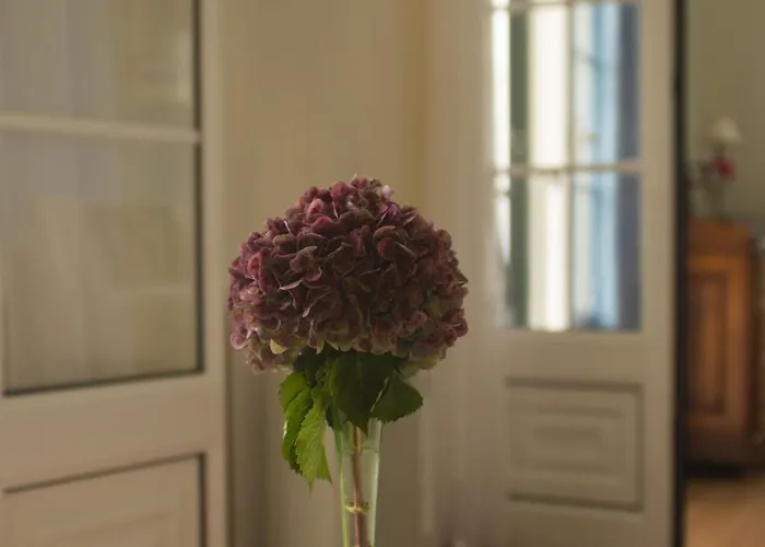 Quinta Hortensias Arco de São Jorge