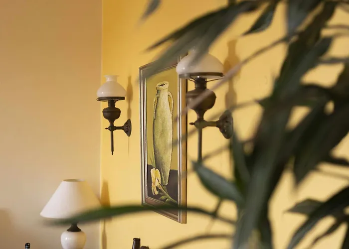 Quinta Hortensias مزرعة للإقامة Arco de São Jorge