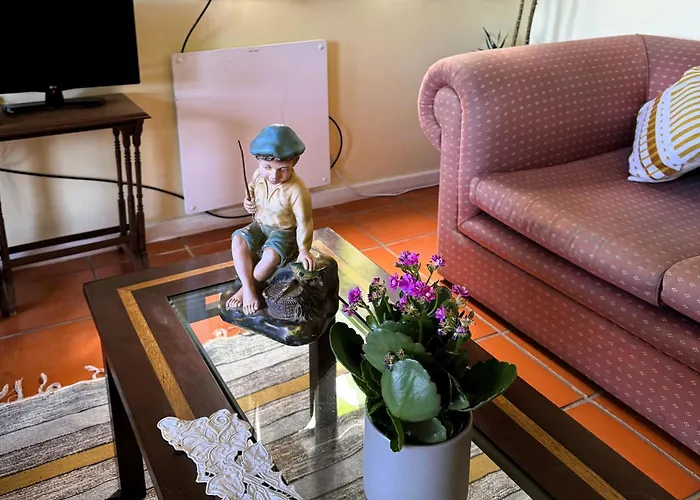 Quinta Hortensias مزرعة للإقامة Arco de São Jorge