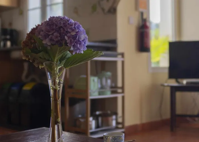 مزرعة للإقامة Quinta Hortensias