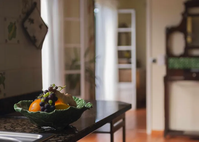 Quinta Hortensias בית חווה Arco de São Jorge