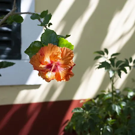 Quinta Hortensias Farm stay Arco de Sao Jorge