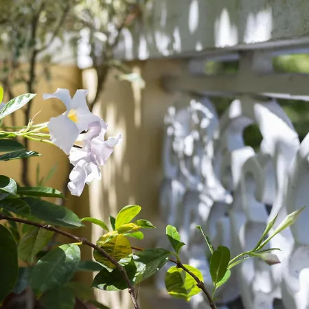 בית חווה Quinta Hortensias *