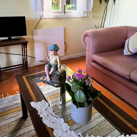 Quinta Hortensias Farm stay Arco de Sao Jorge