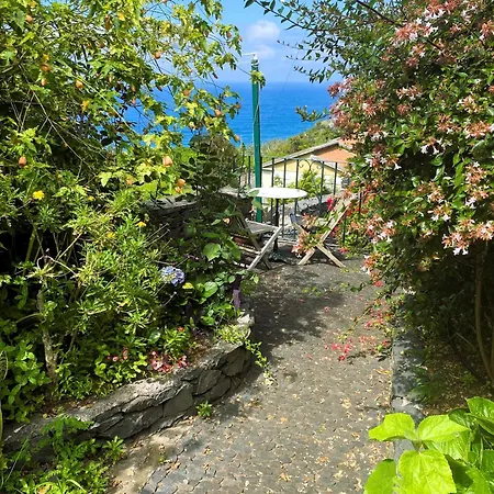 Quinta Hortensias Farm stay