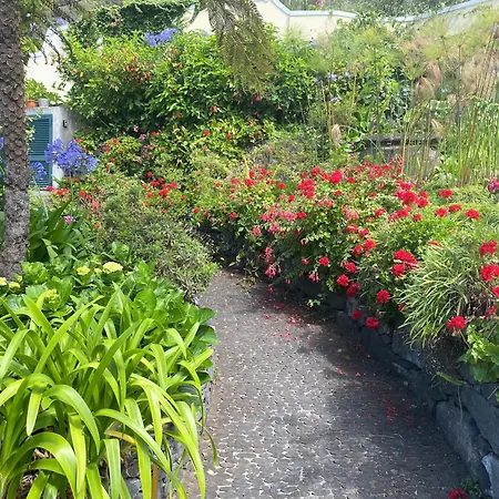 Quinta Hortensias Farm stay