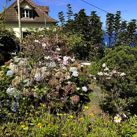 Quinta Hortensias Farm stay