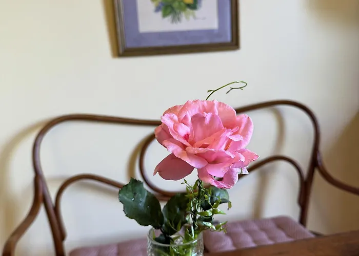 Quinta Hortensias Arco de São Jorge